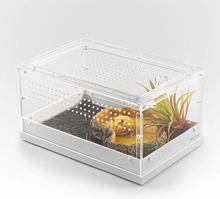 Load image into Gallery viewer, REPTIZOO Two-Way Acrylic Reptile & Insect Enclosure