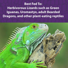 Load image into Gallery viewer, Mazuri Herbivorous Reptile Diet 8oz