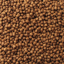 Load image into Gallery viewer, Mazuri Aquatic Turtle Diet 5M87