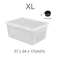 Load image into Gallery viewer, Hinged Lid Reptile Stackable Box (Transparent)