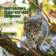 Load image into Gallery viewer, Amber Naturalz Adizone C: Aches & Discomforts - for Cats, 1 Ounce