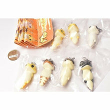 Load image into Gallery viewer, (Gashapon) Bandai Hacyu Hacyu Lizard Mascot (7 types)