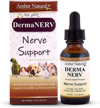 Load image into Gallery viewer, Amber Naturalz DermaNERV: Nerve Support - for Pets, 1 Ounce