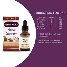 Load image into Gallery viewer, Amber Naturalz DermaNERV: Nerve Support - for Pets, 1 Ounce