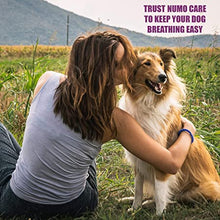 Load image into Gallery viewer, Amber Naturalz Numo Care: Breathe Easy - for Dogs, 1 Ounce