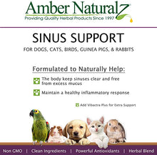 Load image into Gallery viewer, Amber Naturalz Pets C&C: Sinus Support with Antioxidants, 1 Ounce