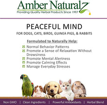 Load image into Gallery viewer, Amber Naturalz Pyntril: Peaceful Mind - for Pets, 1 Ounce
