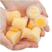 Load image into Gallery viewer, ZICRA Agito Reptile Jelly