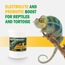 Load image into Gallery viewer, VETARK Reptoboost 100g