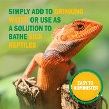 Load image into Gallery viewer, VETARK Reptoboost 100g