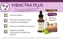 Load image into Gallery viewer, Amber Naturalz Vibactra-Plus: Immune Support Plus for Pets
