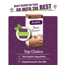 Load image into Gallery viewer, Amber Naturalz RADOX: Blood Support - 1 Ounce
