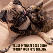 Load image into Gallery viewer, Amber Naturalz Internal Gold Detox KIT - Powerful &amp; Gentle Cleanse &amp; Rejuvenation - for Dogz &amp; Catz
