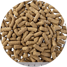 Load image into Gallery viewer, EXO TERRA RepDeli Tokage Blend 200g
