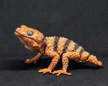 Load image into Gallery viewer, (Gashapon) Genuine 1:1 Gecko and Armadillo Lizard
