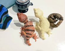 Load image into Gallery viewer, (Gashapon) Genuine 1:1 Gecko and Armadillo Lizard
