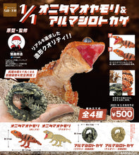 Load image into Gallery viewer, (Gashapon) Genuine 1:1 Gecko and Armadillo Lizard
