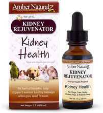 Load image into Gallery viewer, Amber Naturalz Kidney Rejuvenator: Safe &amp; reliable kidney health for Pets, 1 Ounce

