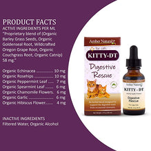Load image into Gallery viewer, Amber Naturalz Kitty-DT: Digestive Rescue - Botanical for pets - Digestive Support for Felines, 1 Ounce
