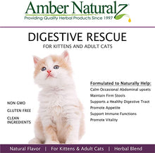 Load image into Gallery viewer, Amber Naturalz Kitty-DT: Digestive Rescue - Botanical for pets - Digestive Support for Felines, 1 Ounce
