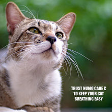 Load image into Gallery viewer, Amber Naturalz Numo Care C: Breathe Easy - for Cats
