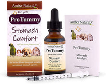 Load image into Gallery viewer, Amber Naturalz ProTummy: Stomach Comfort - Digestive Support for Pets, 1 Ounce
