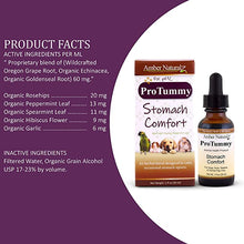 Load image into Gallery viewer, Amber Naturalz ProTummy: Stomach Comfort - Digestive Support for Pets, 1 Ounce
