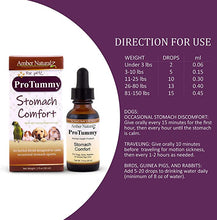 Load image into Gallery viewer, Amber Naturalz ProTummy: Stomach Comfort - Digestive Support for Pets, 1 Ounce
