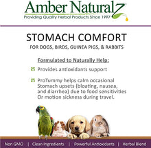Load image into Gallery viewer, Amber Naturalz ProTummy: Stomach Comfort - Digestive Support for Pets, 1 Ounce

