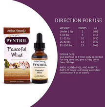 Load image into Gallery viewer, Amber Naturalz Pyntril: Peaceful Mind - for Pets, 1 Ounce
