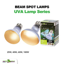 Load image into Gallery viewer, REPTIZOO Beam Spot Lamps
