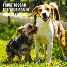 Load image into Gallery viewer, Amber Naturalz TOSSA K: Kennel Bark - for Dogs, 1 Ounce LP
