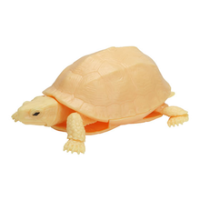 Load image into Gallery viewer, (Gashapon)Bandai Gashapon Kame 04 (5 types in total)
