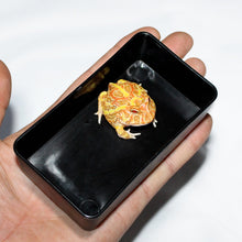 Load image into Gallery viewer, Easy Water Bowl 5.9 x 10.5 x 2.9cm(H)
