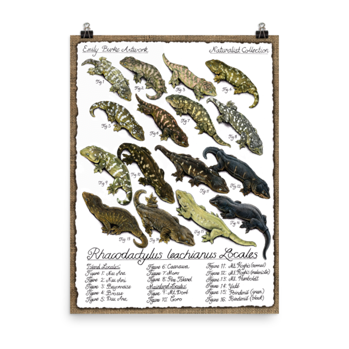 Leachianus Locales Print - Emily Burke